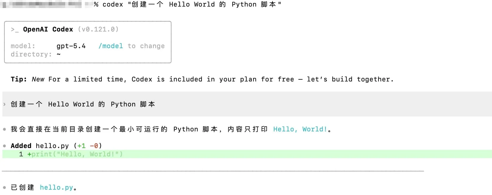 Codex CLI 运行效果