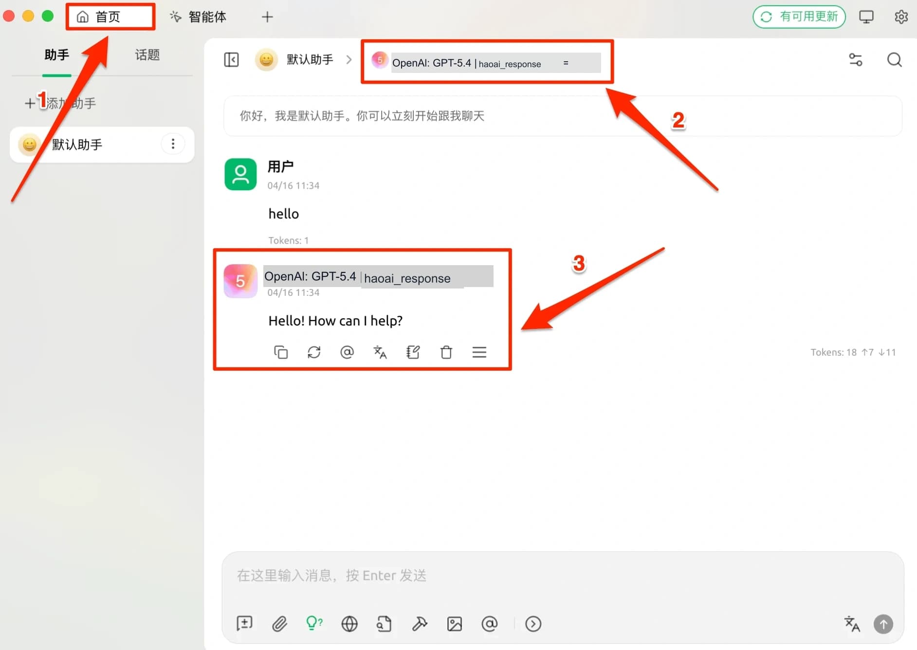 选择模型开始对话