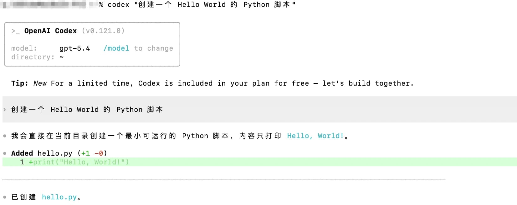 Codex CLI 运行效果