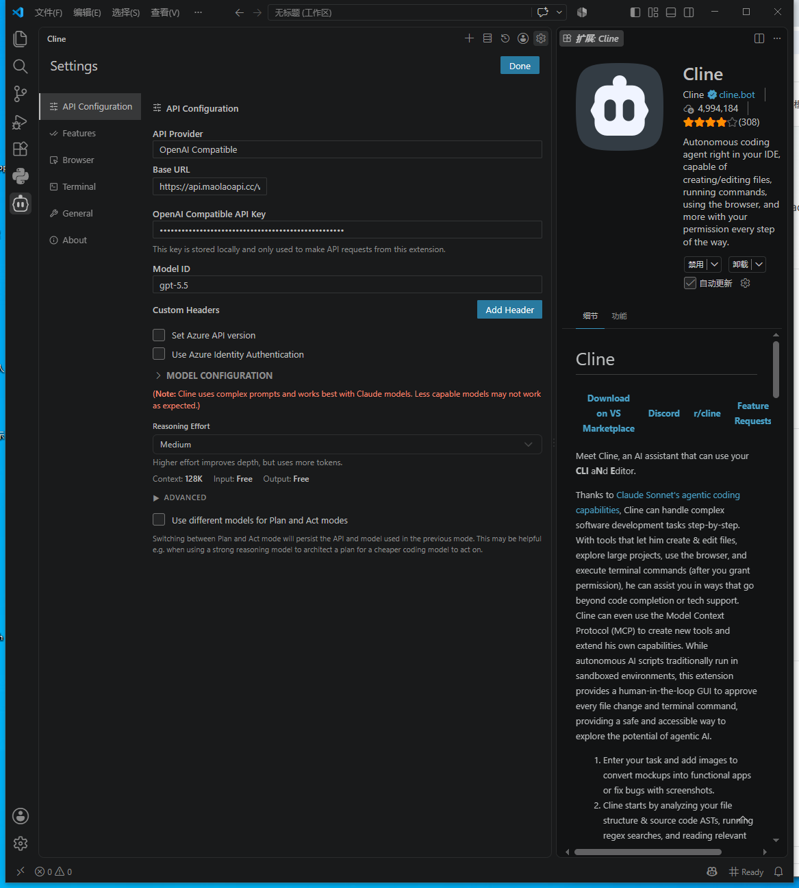 Cline API 配置真实截图