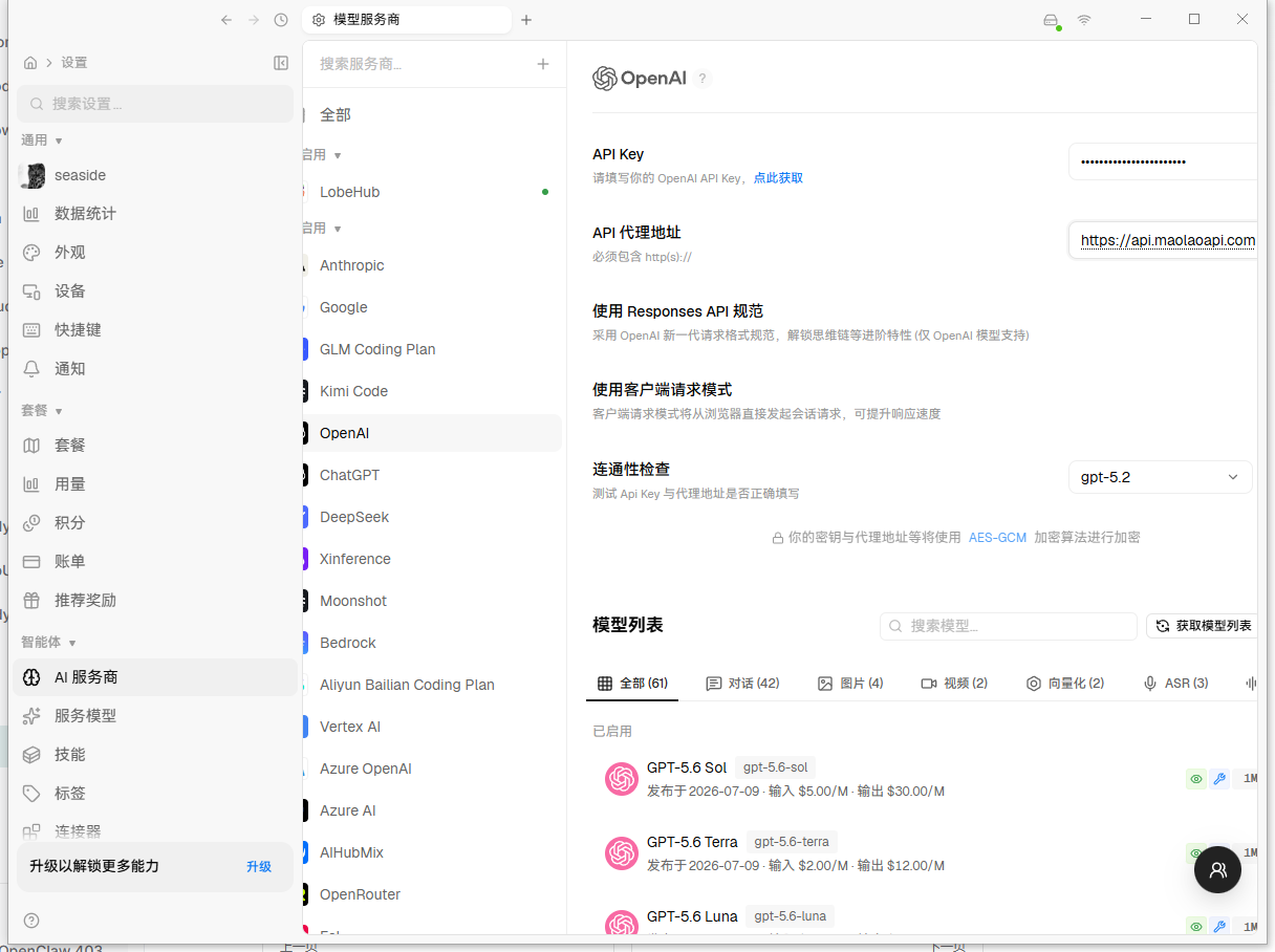 LobeHub 填写 DouDi 示例真实截图